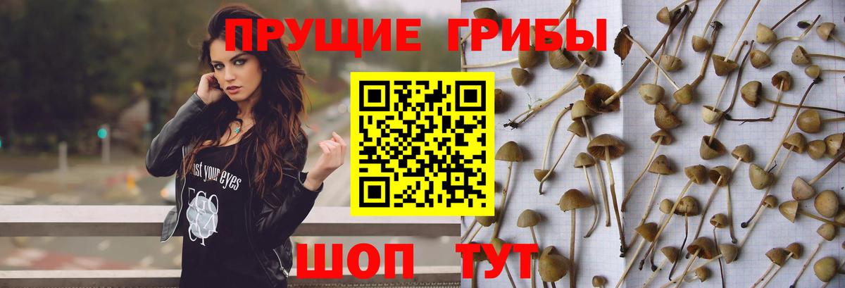 Псилоцибиновые грибы Magic Shrooms Сегежа