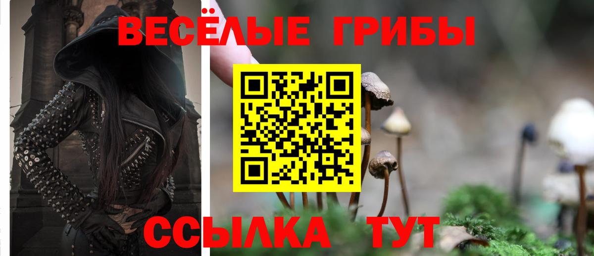 купить   Вход с VPN  Сегежа  Галлюциногенные грибы GOLDEN TEACHER 